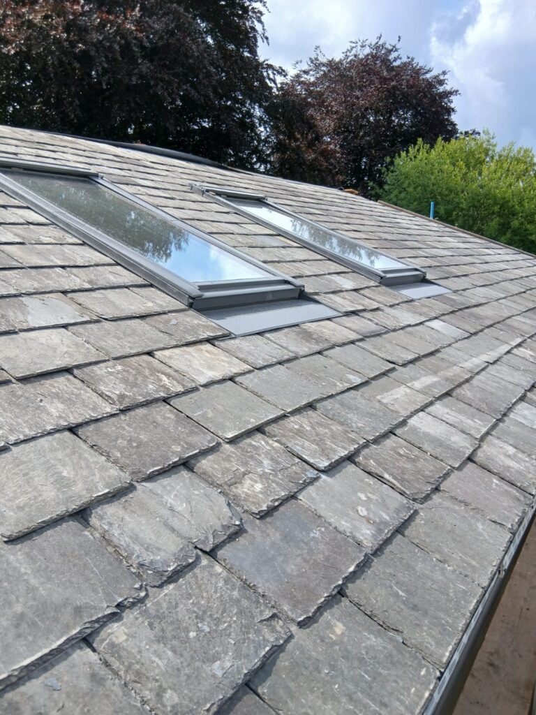 Home Roof